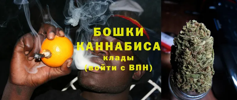 MEGA ссылки  сайты даркнета телеграм  Дно  Канабис Ganja  закладки 